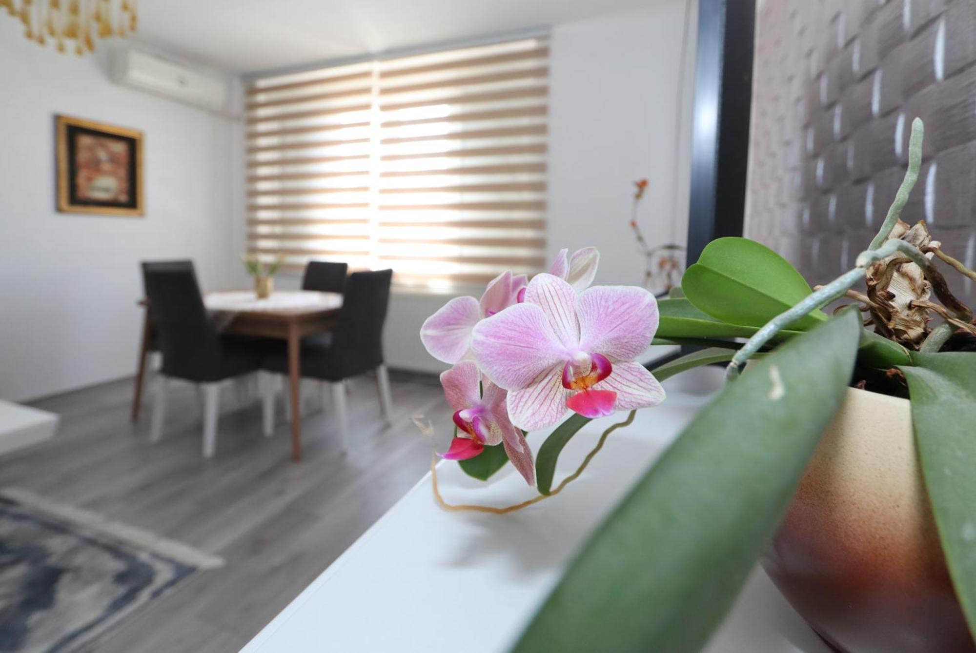 Golden Royal Apartment Kragujevac Luaran gambar